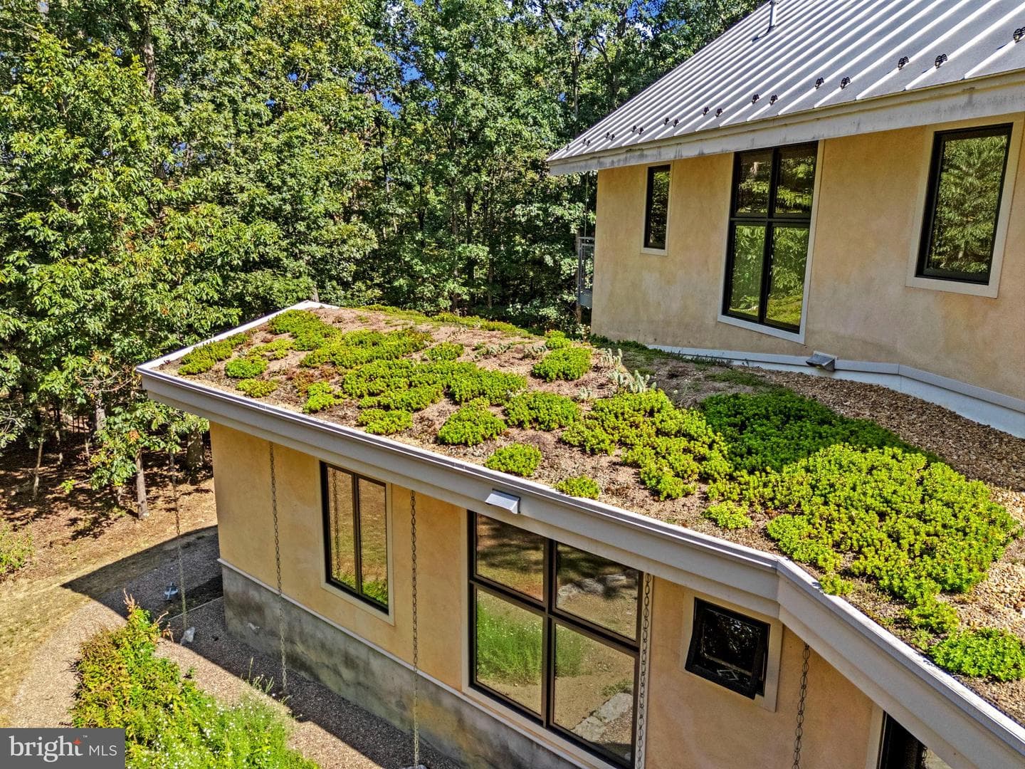 79 Marigold Way photo 6