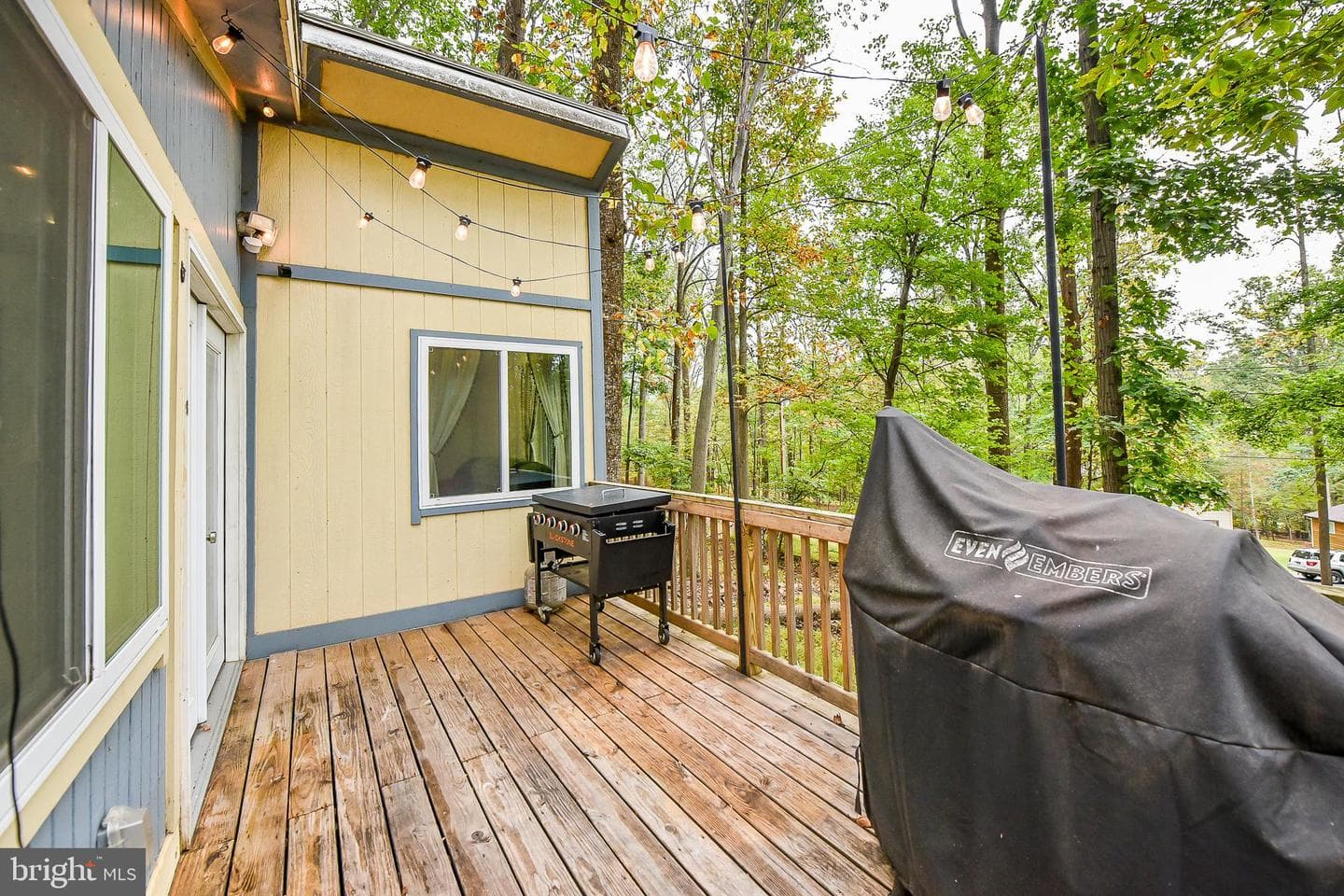 161 Dewdrop Lane photo 16