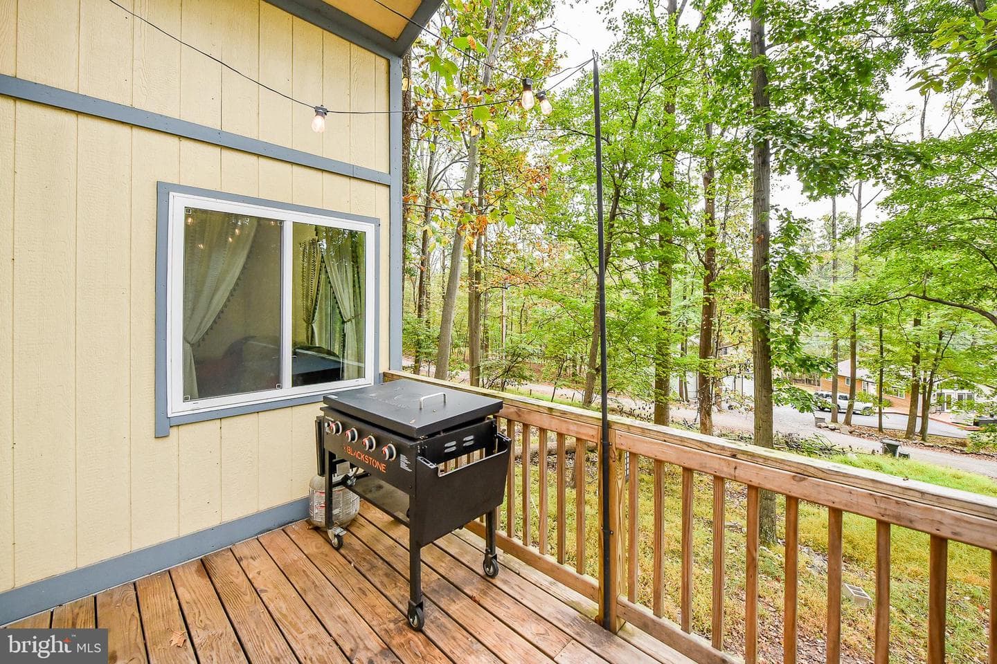 161 Dewdrop Lane photo 17
