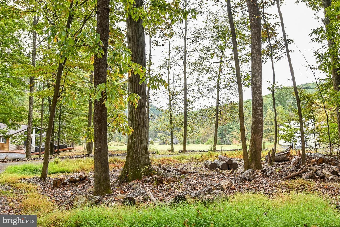 161 Dewdrop Lane photo 18