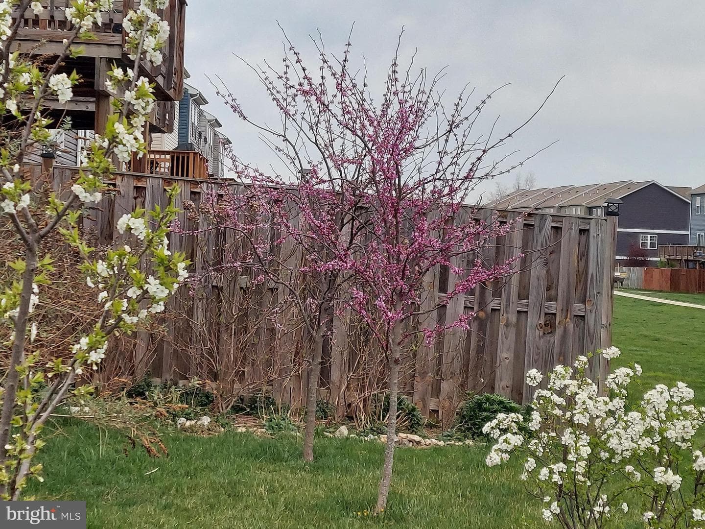 134 Drexel Court photo 40