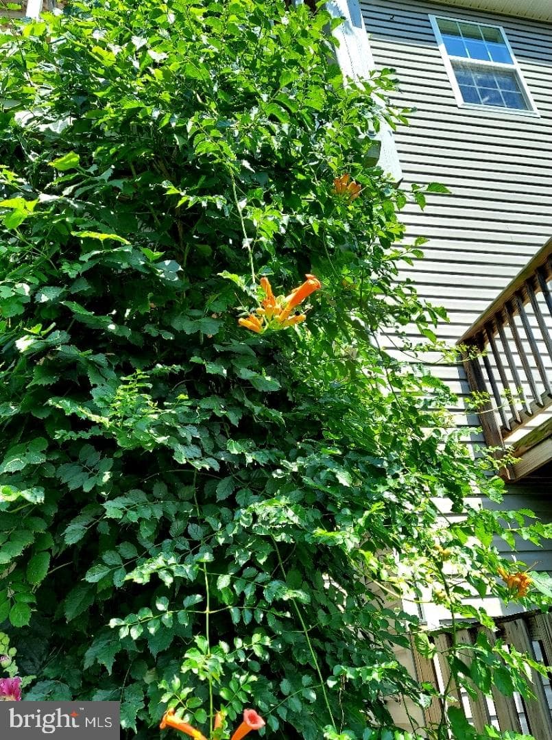 134 Drexel Court photo 43