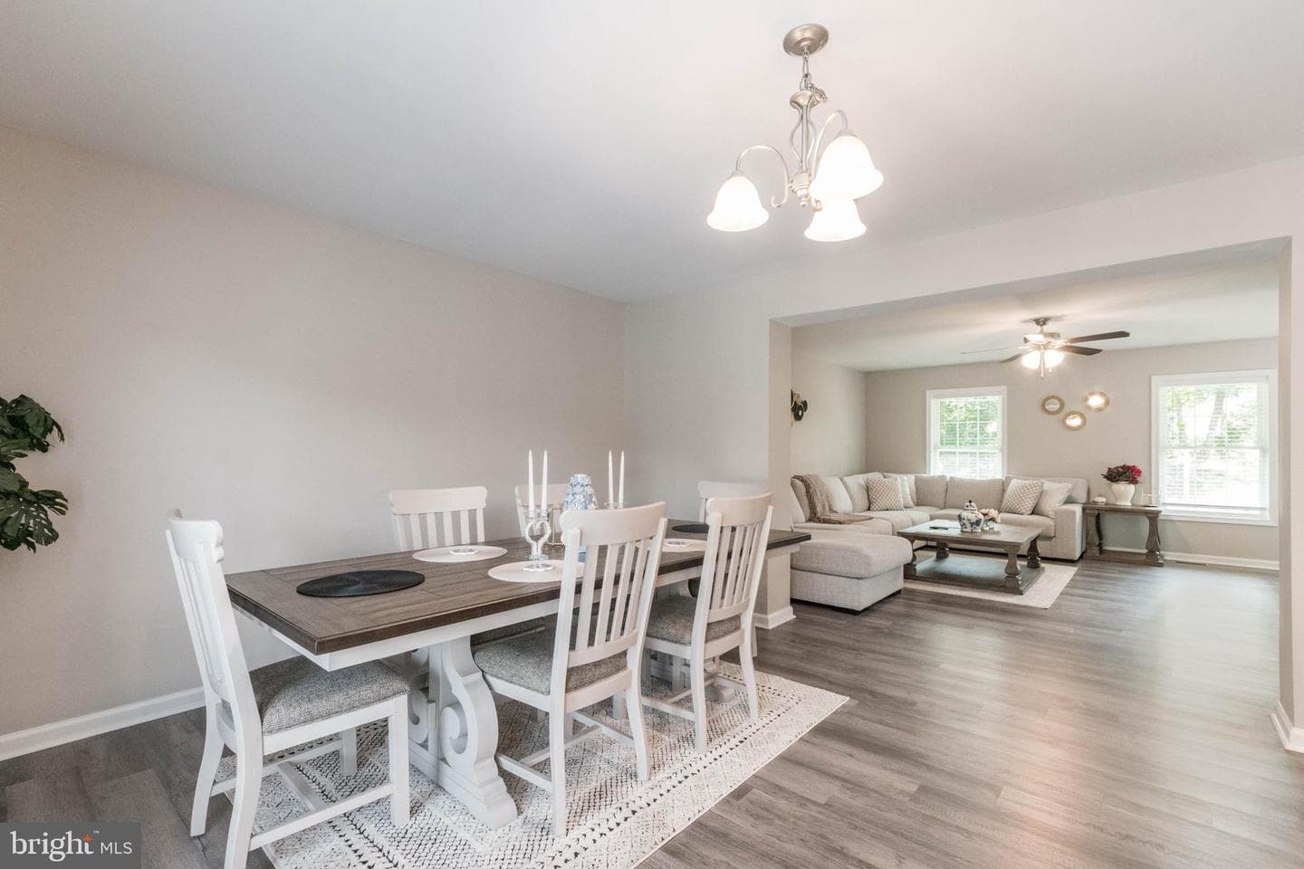 342 Europa Way photo 14