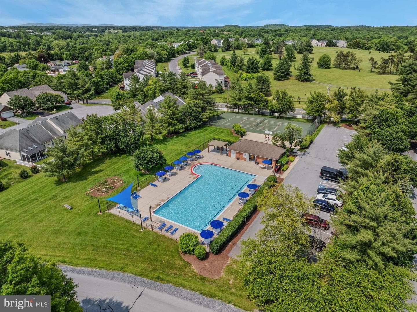51 Shoal Creek Court photo 37