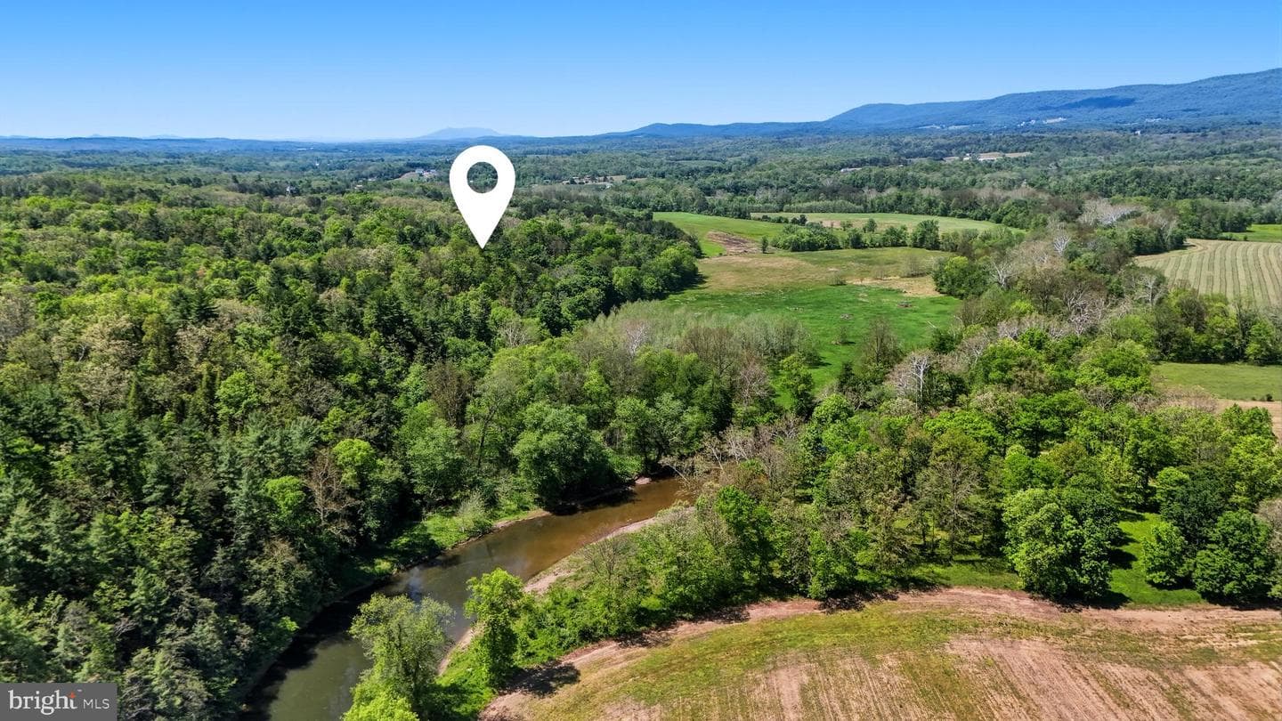 446 Broomgrass Way photo 3