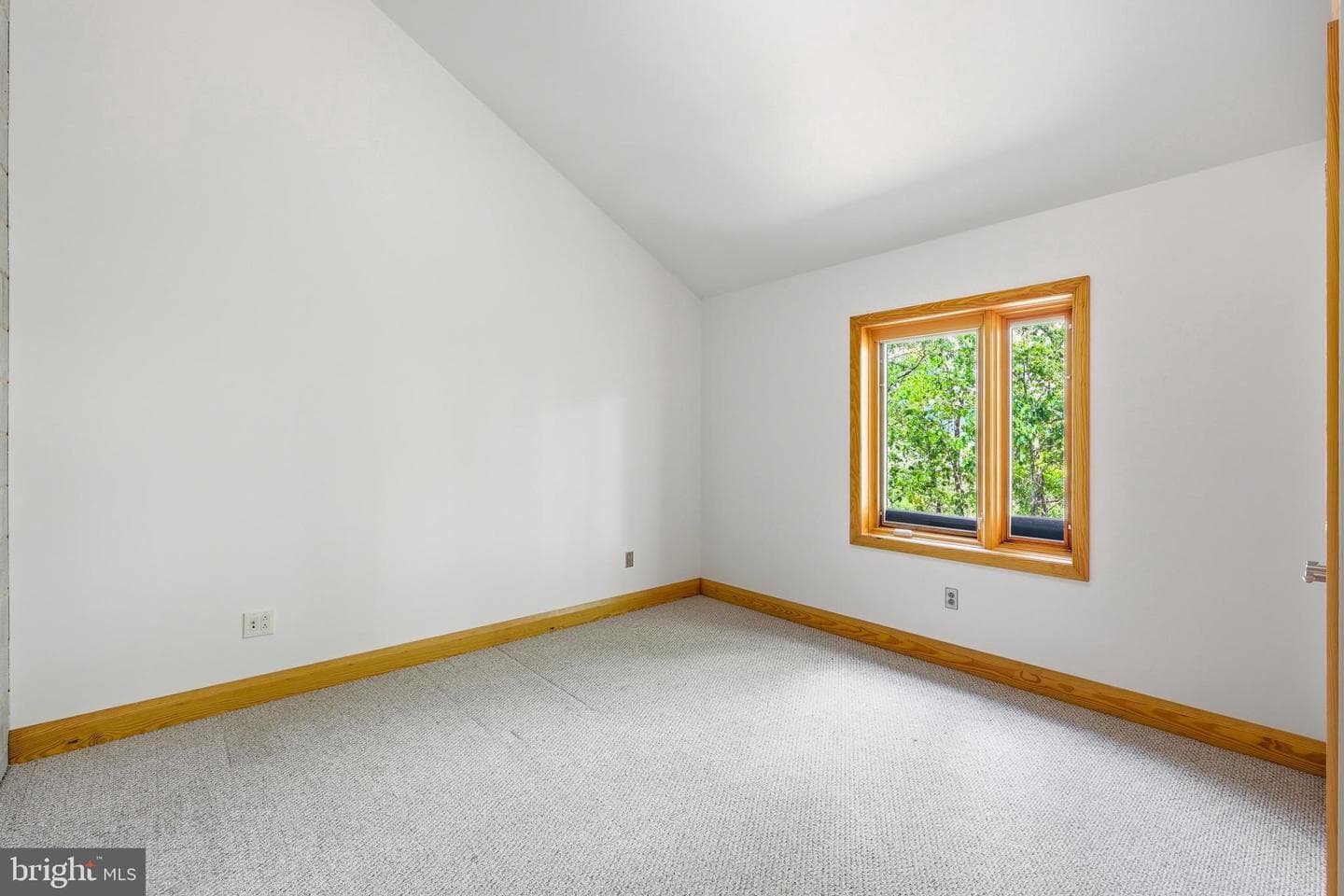 446 Broomgrass Way photo 40