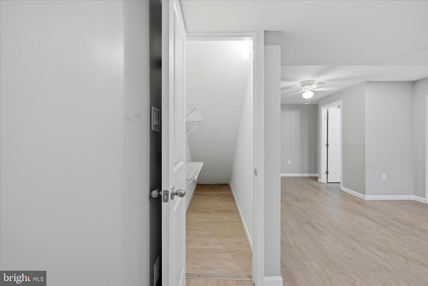 248 Tickseed Court photo 38