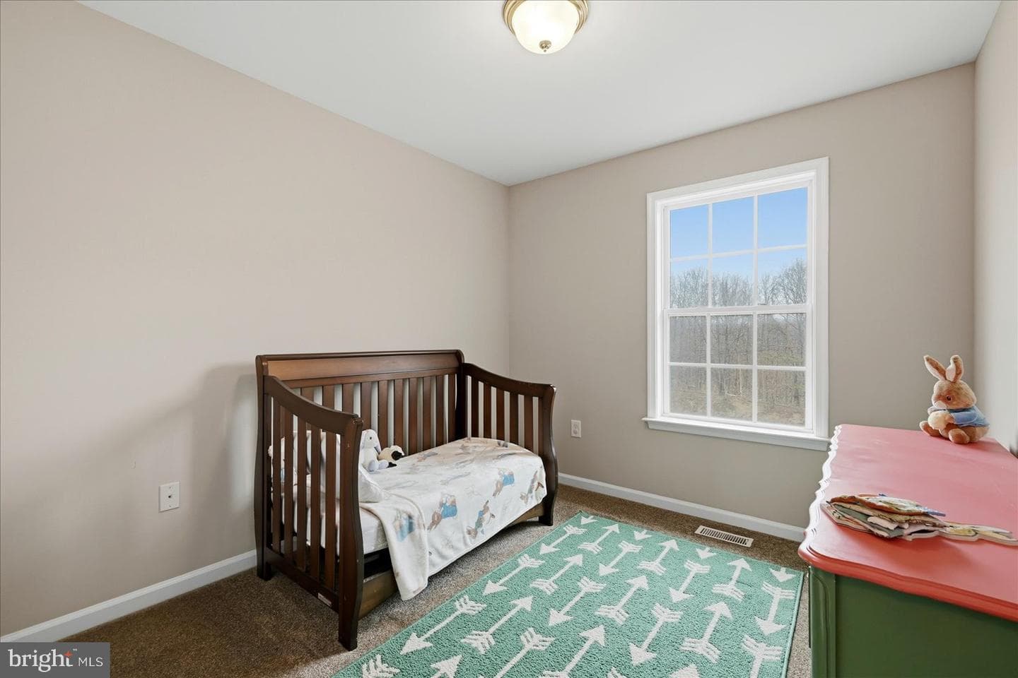 75 Babylonica Court photo 24
