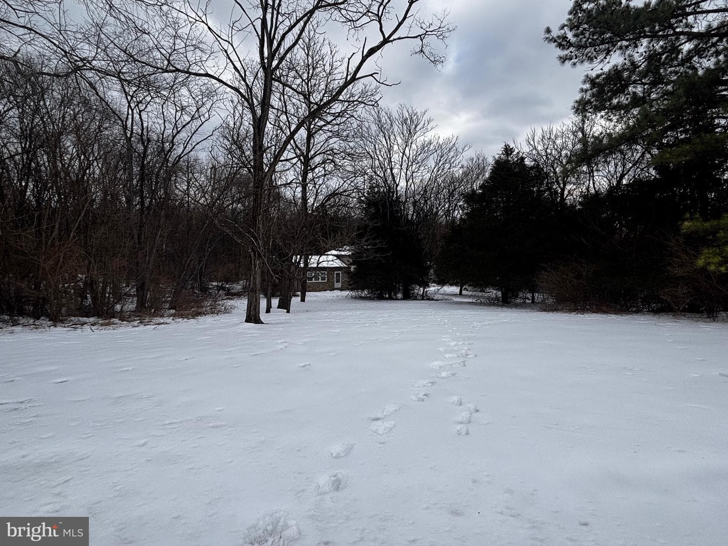 224 Ditto Farm photo 31