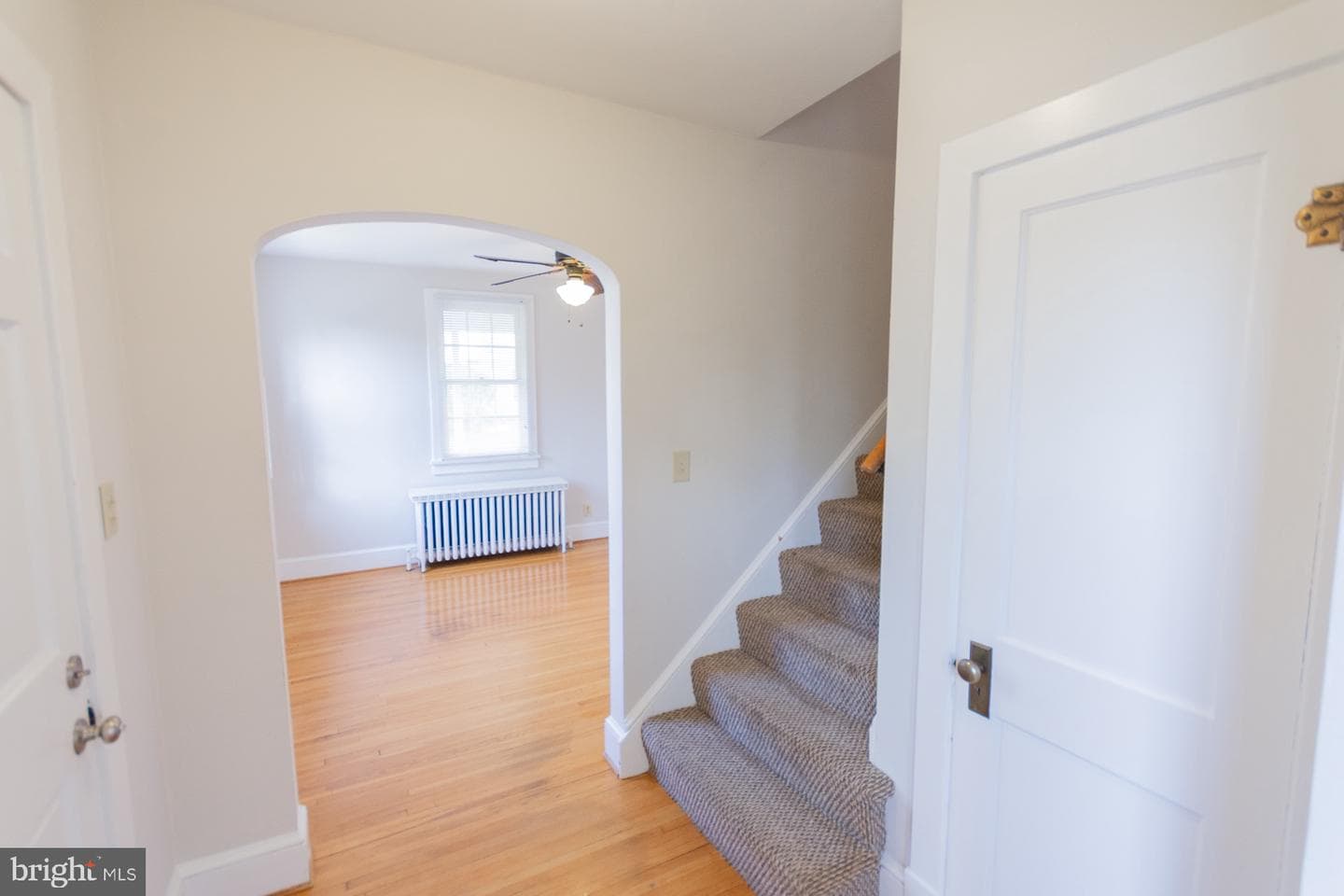1104 W Race Street photo 20