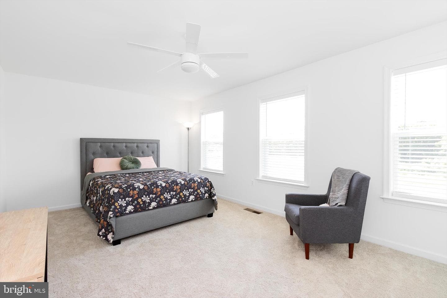 301 Homer Court photo 36
