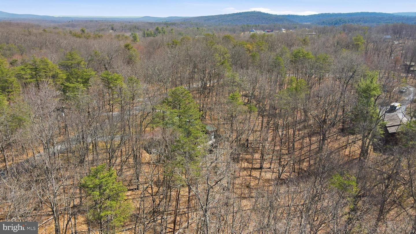 904 Walden Road photo 29