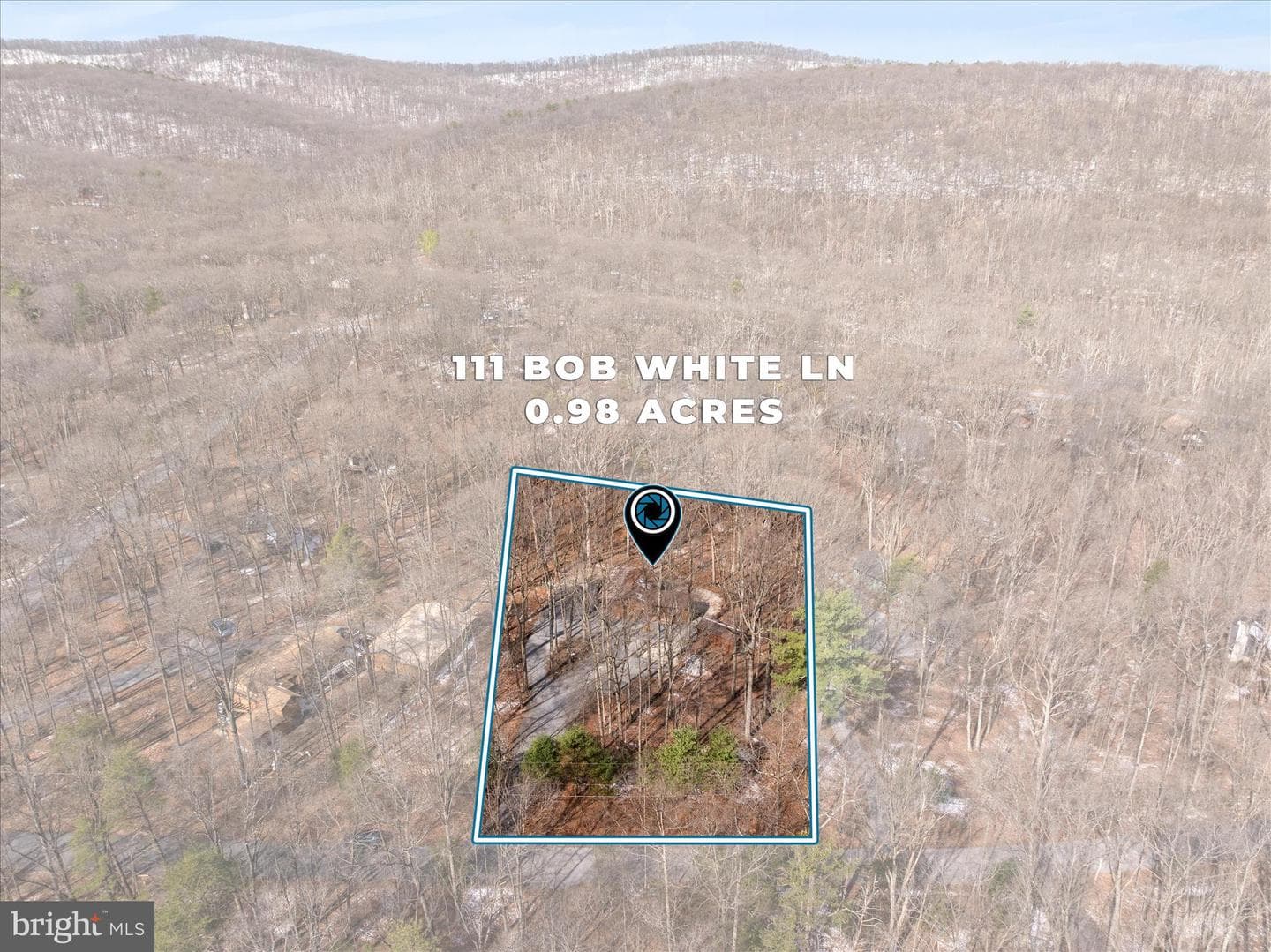 111 Bob White Lane photo 30