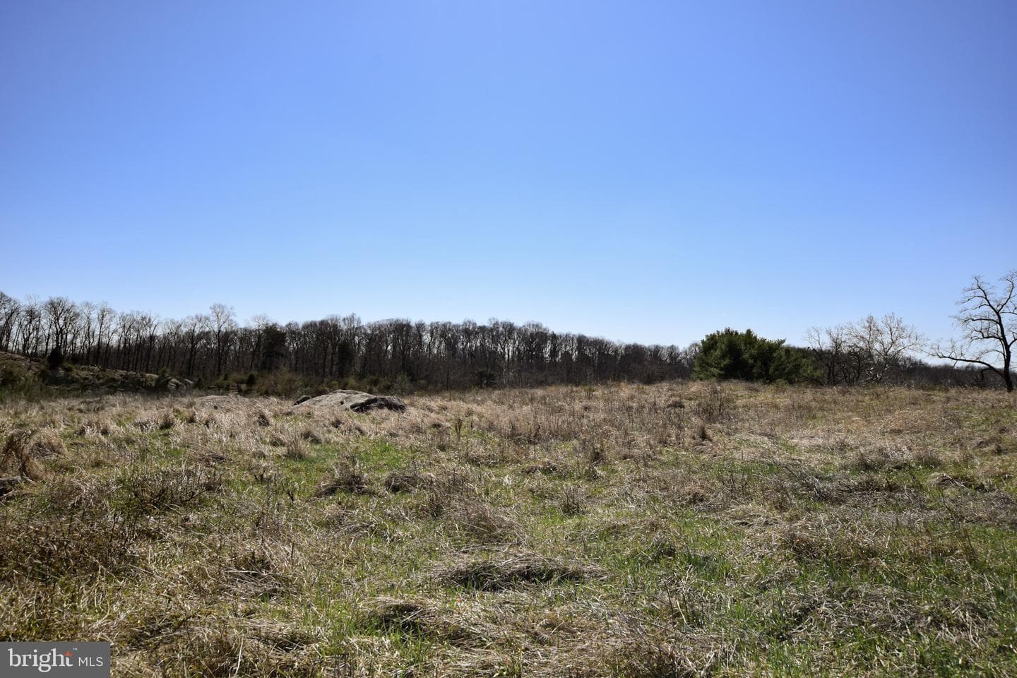 796 Berkeley Station Road photo 16