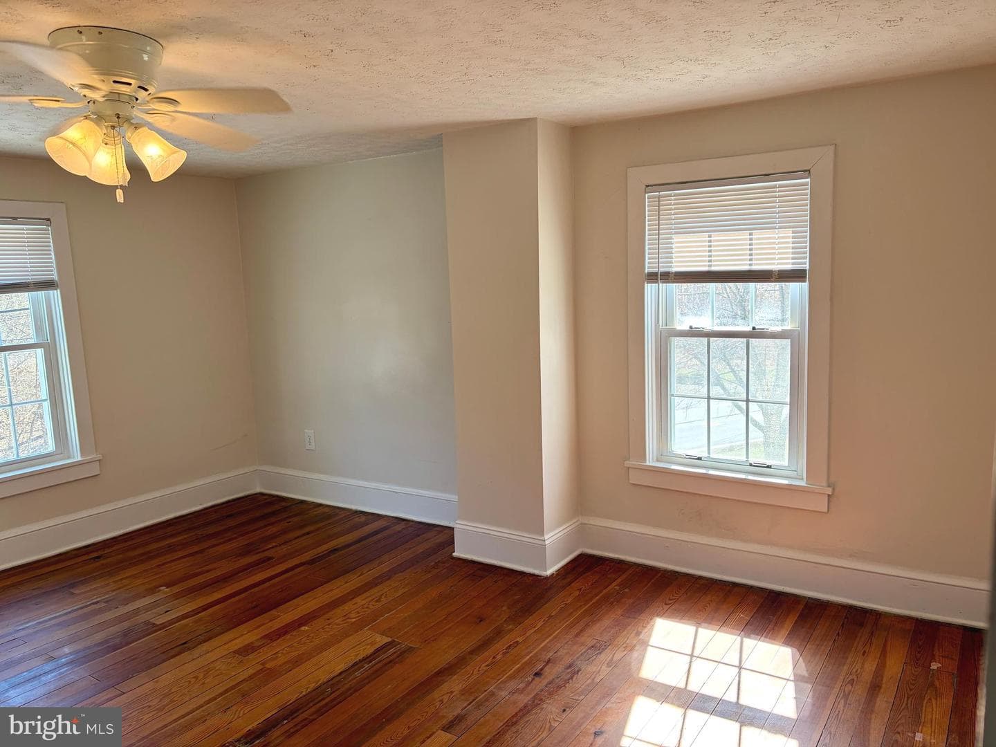 13669 Apple Harvest Drive photo 16
