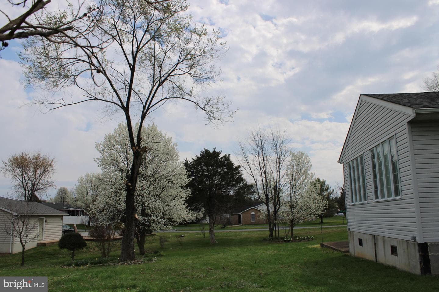 142 Braddock Boulevard photo 30