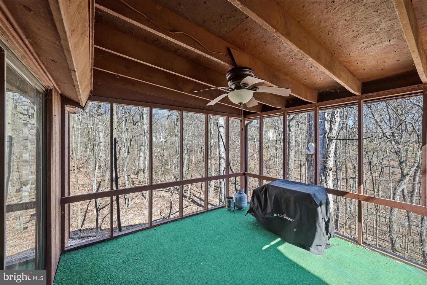 313 Mild Winter Road photo 28