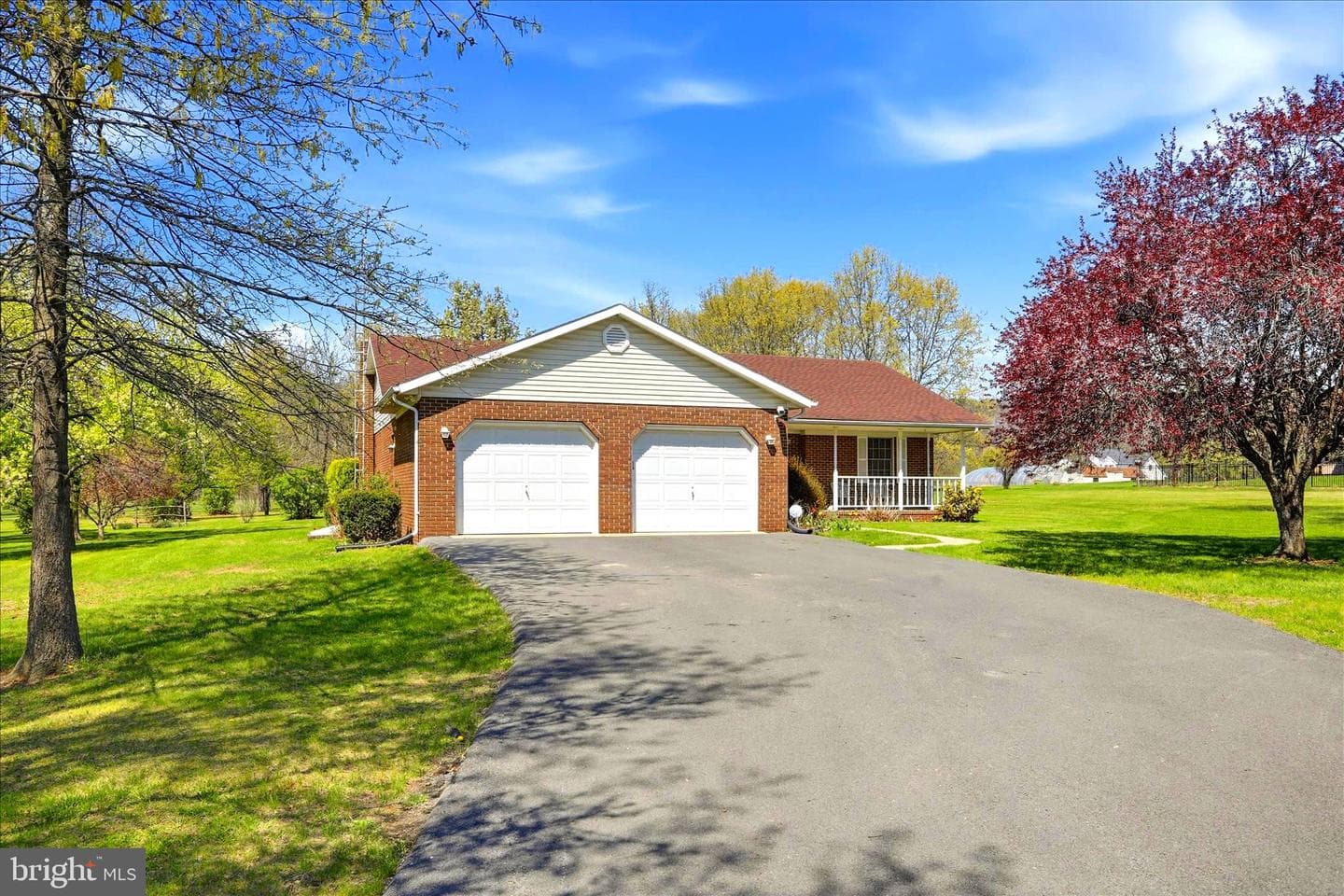 229 Hollis Drive photo 4