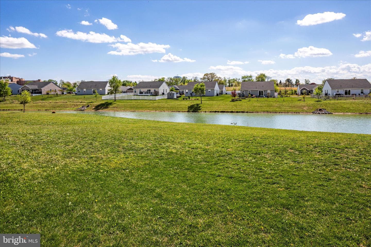 88 Aldershot Drive photo 34