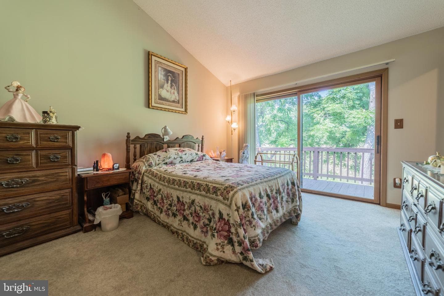 204 Tecumseh Trail photo 11