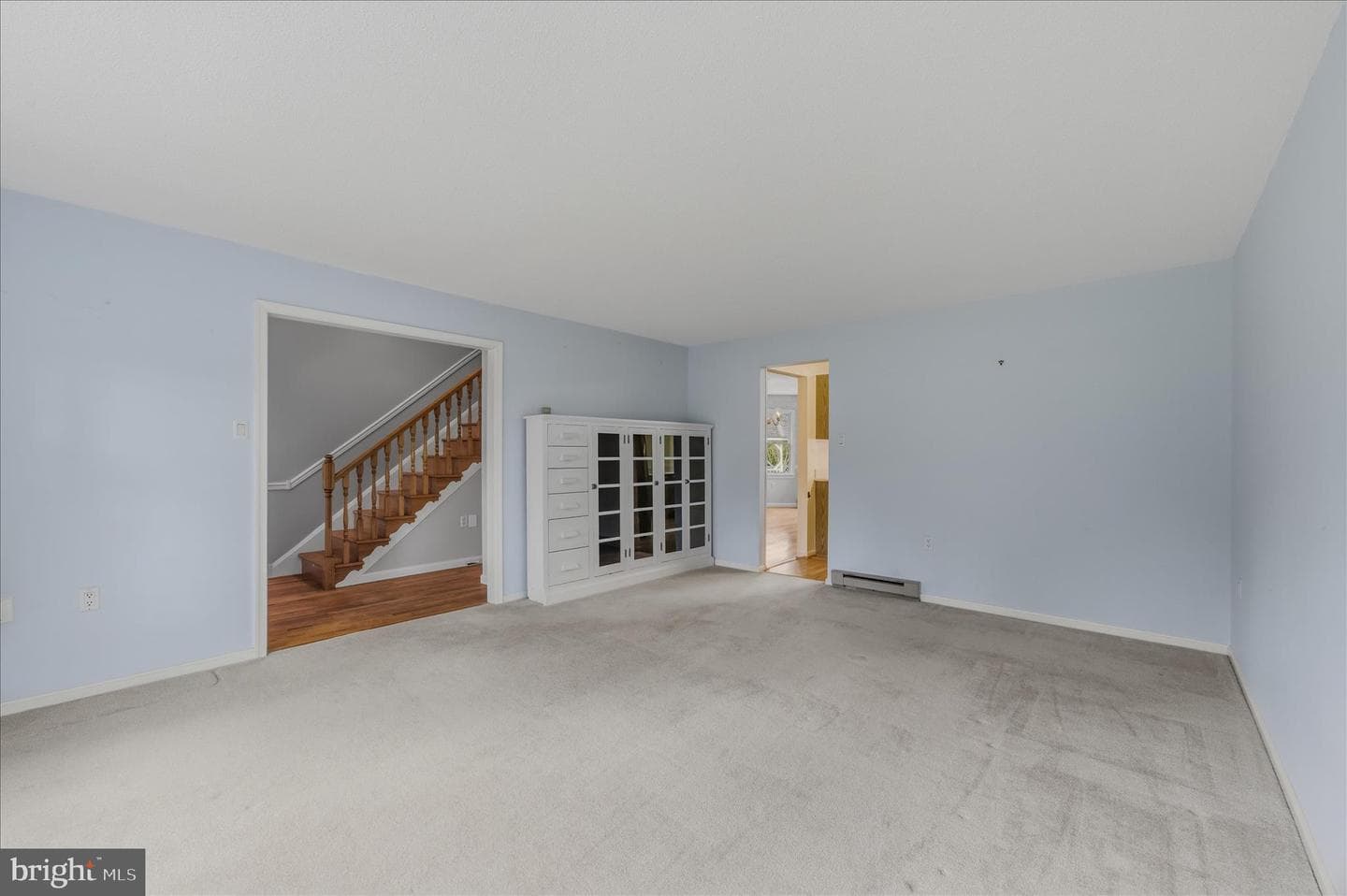 236 Babbling Brook Lane photo 10