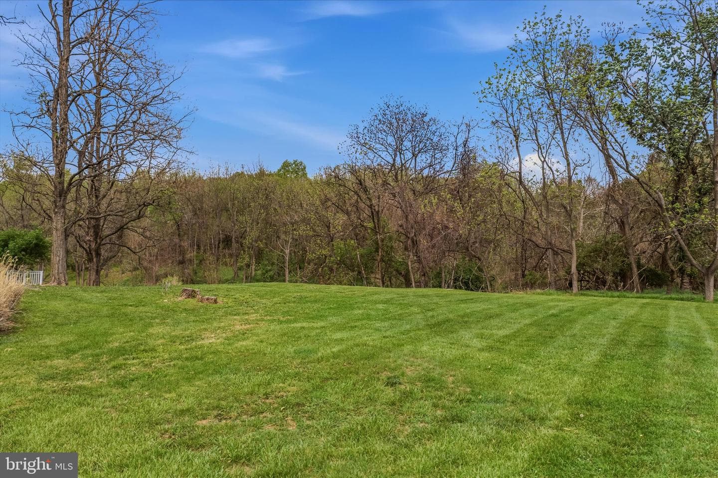 236 Babbling Brook Lane photo 73