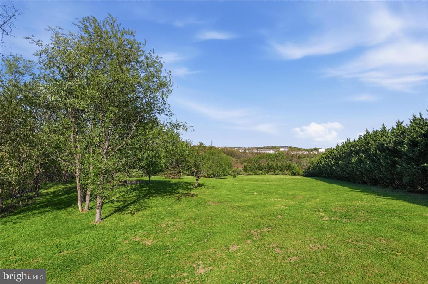 174 Open Field Lane photo 45