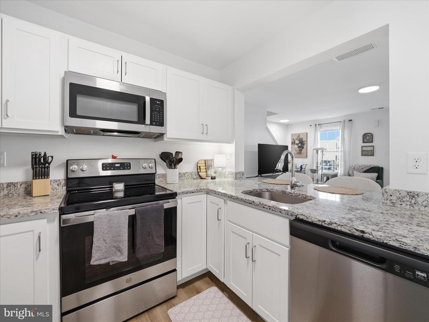 204 White Violet Way photo 8