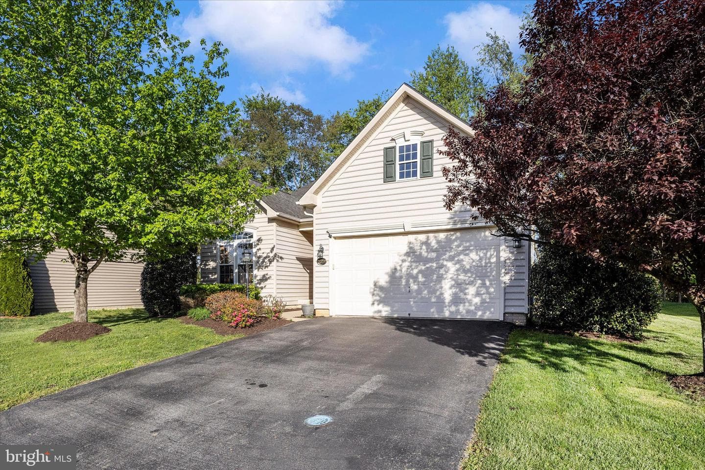 250 Dinwiddie Way photo 36