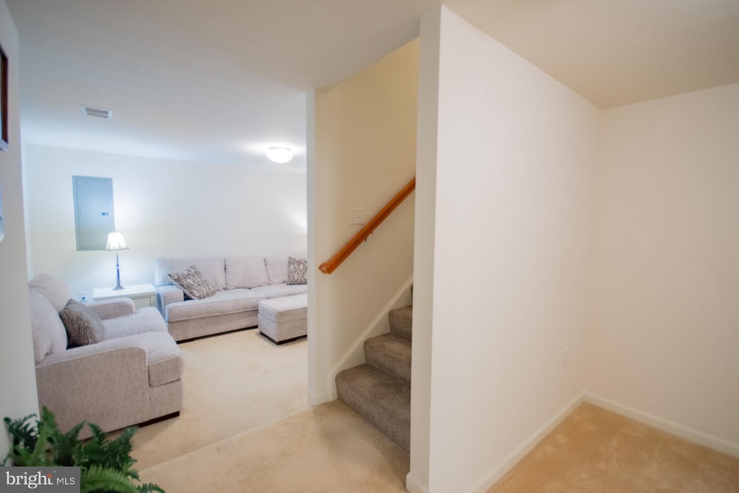 567 Rivanna Run photo 54