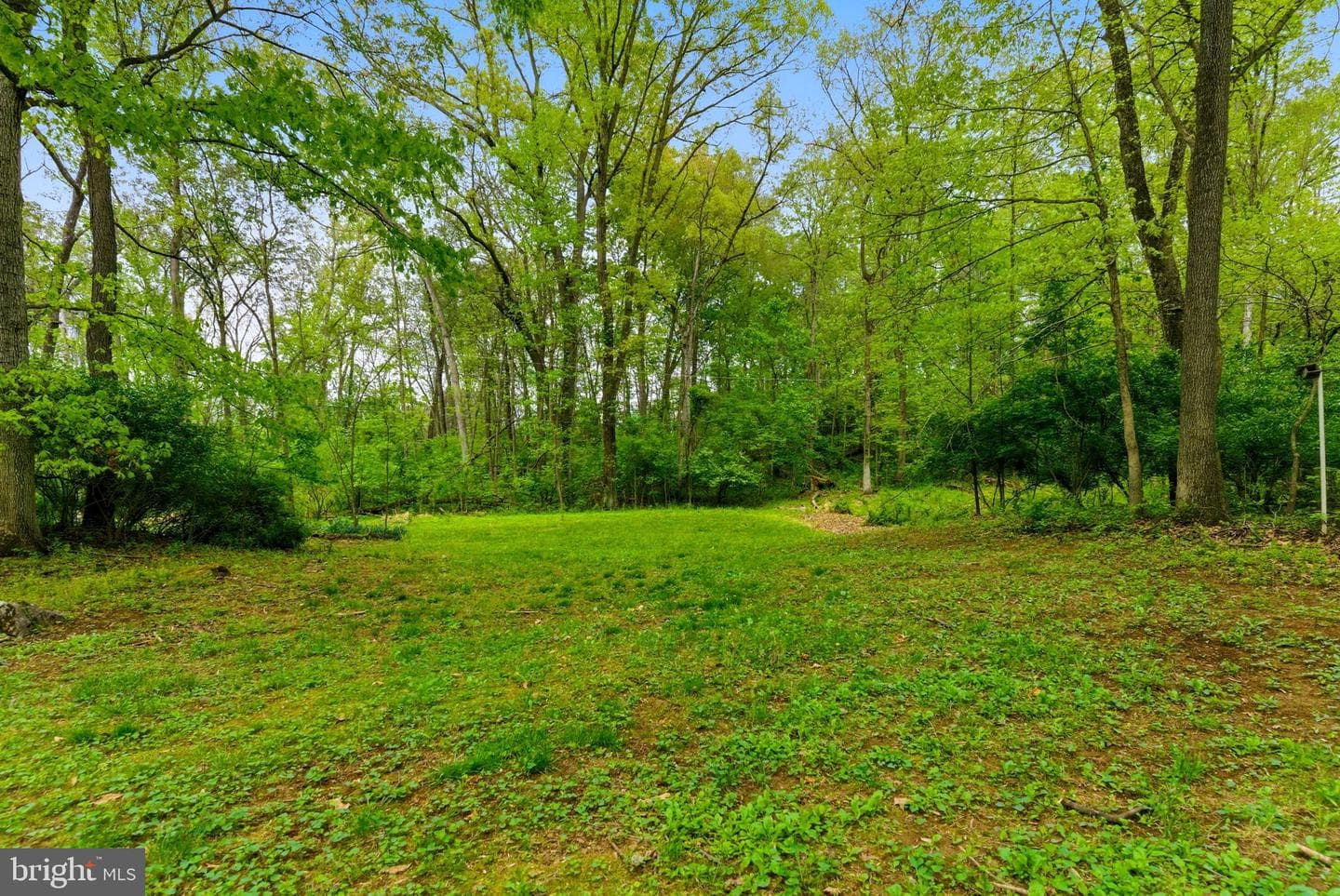 387 Weaver Lane photo 67