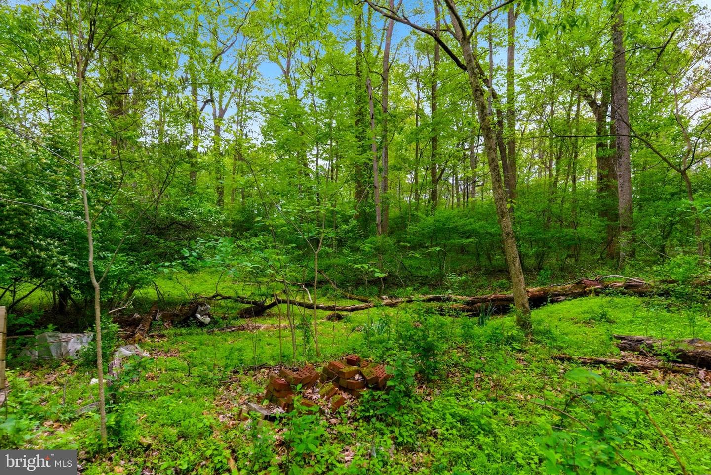 387 Weaver Lane photo 74