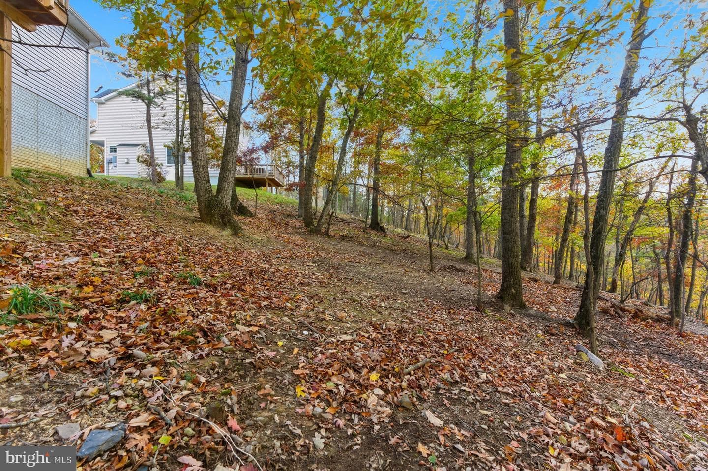 194 Nemacolin Trail photo 34