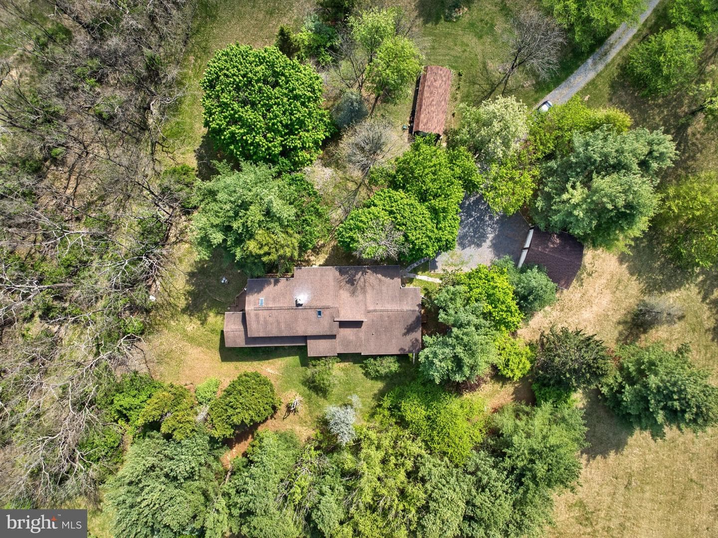 648 Abbie Lane photo 9