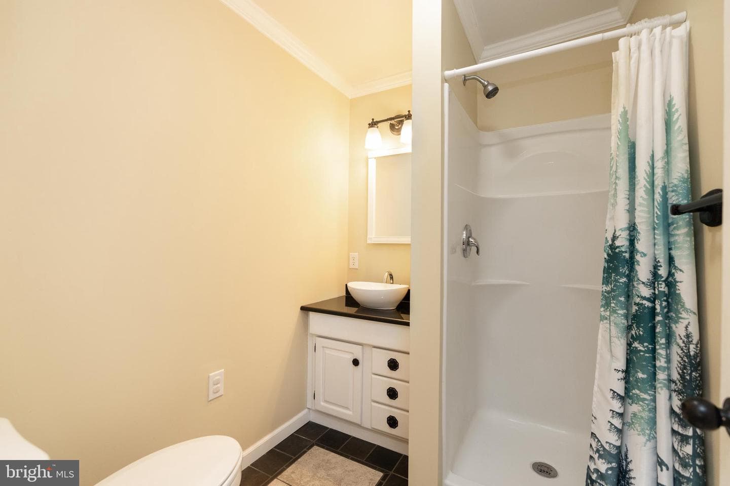 455 Huckleberry Drive photo 26