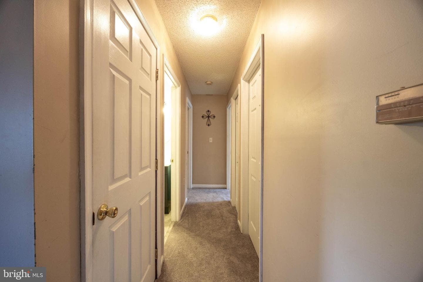 351 Mimosa Drive photo 19