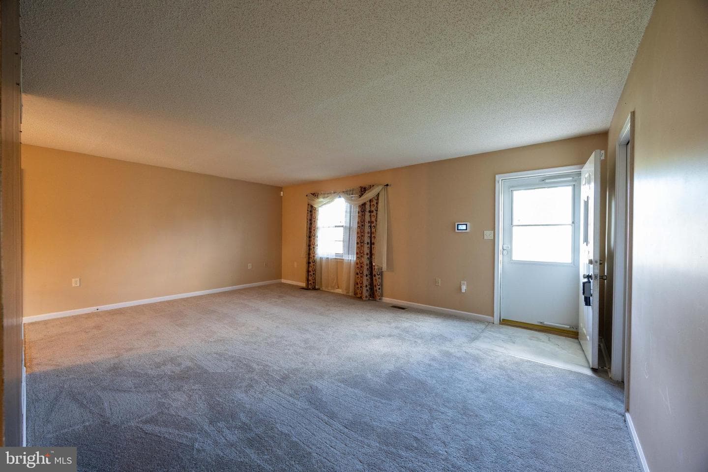 351 Mimosa Drive photo 20