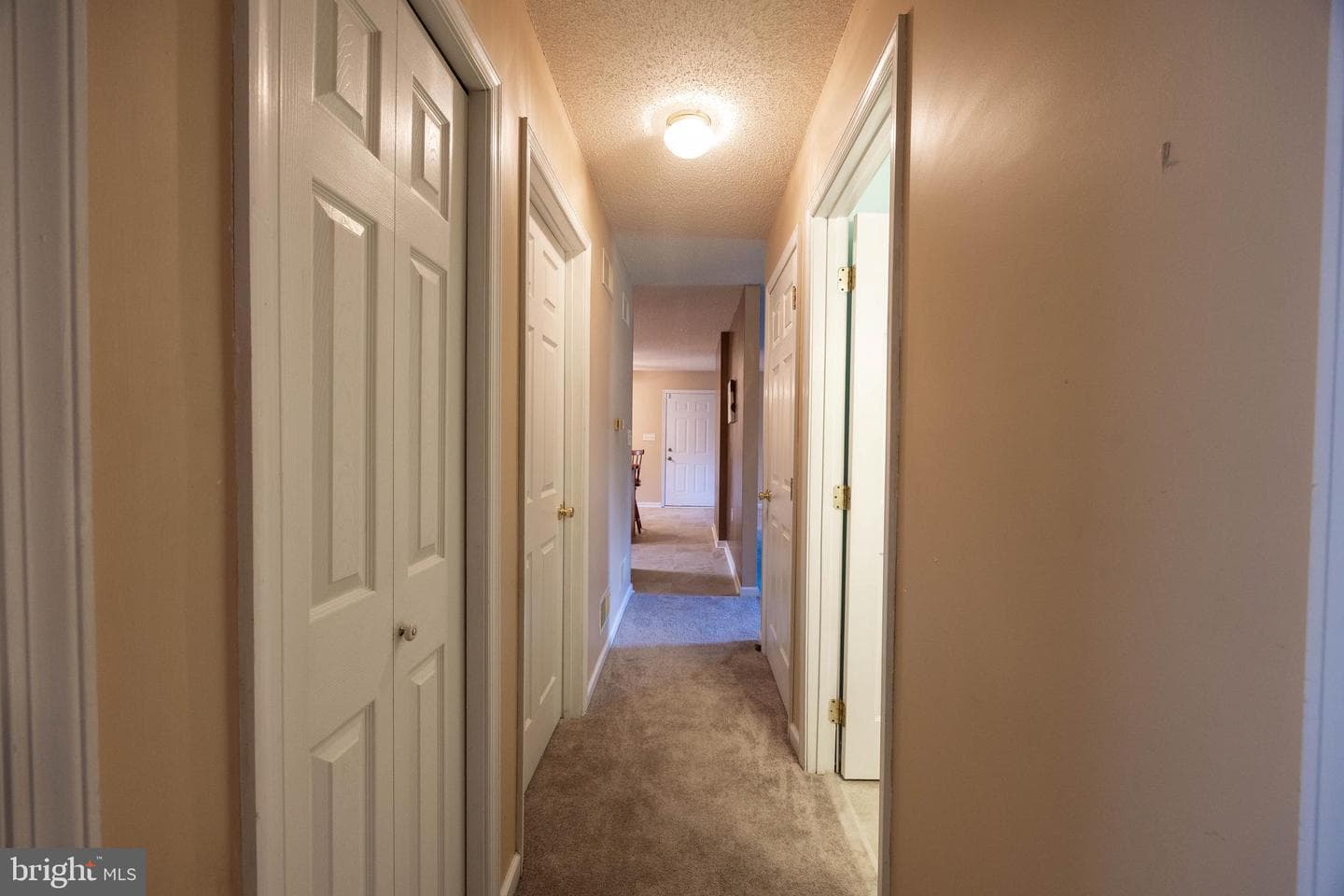 351 Mimosa Drive photo 23
