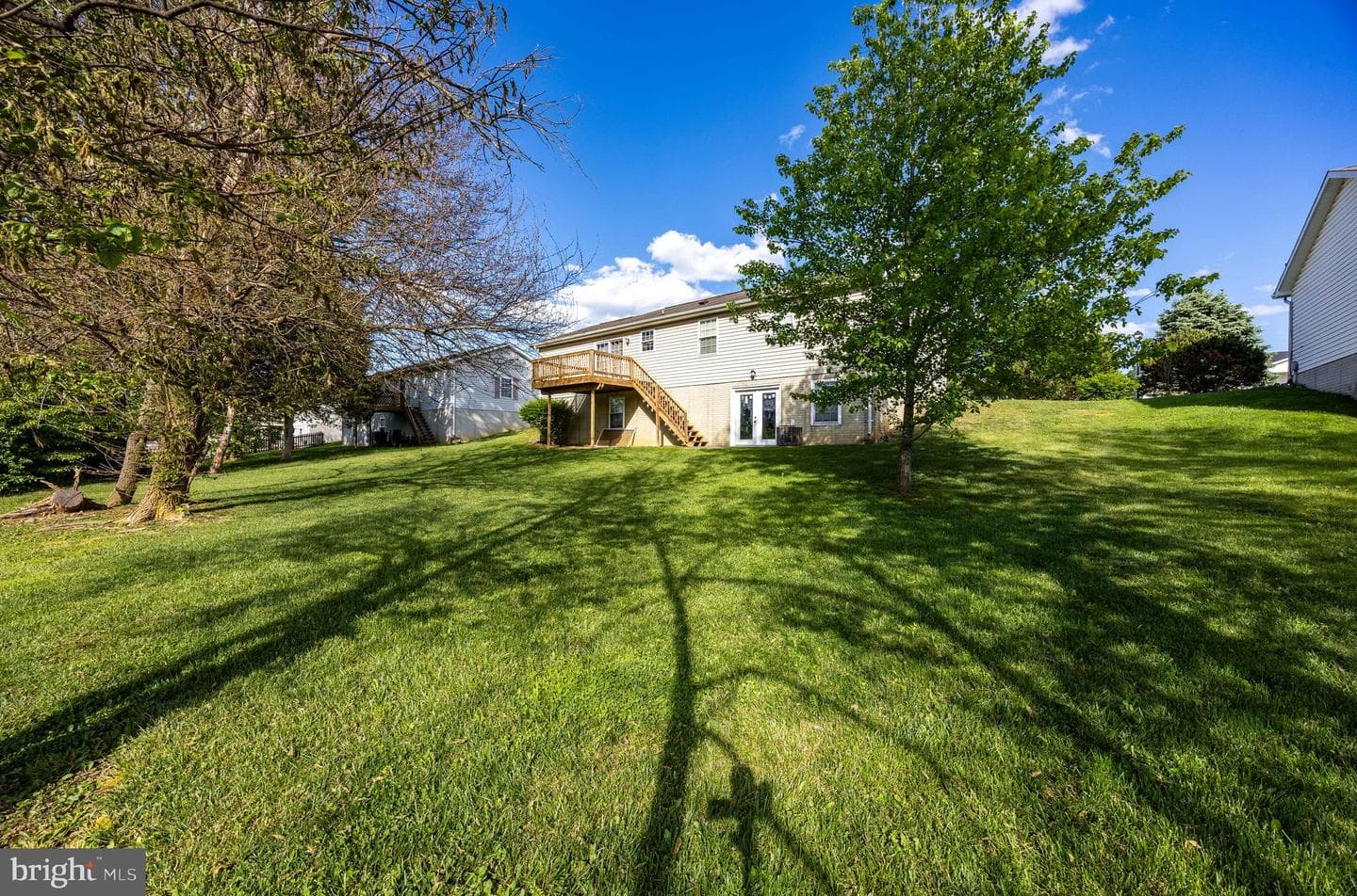 351 Mimosa Drive photo 4