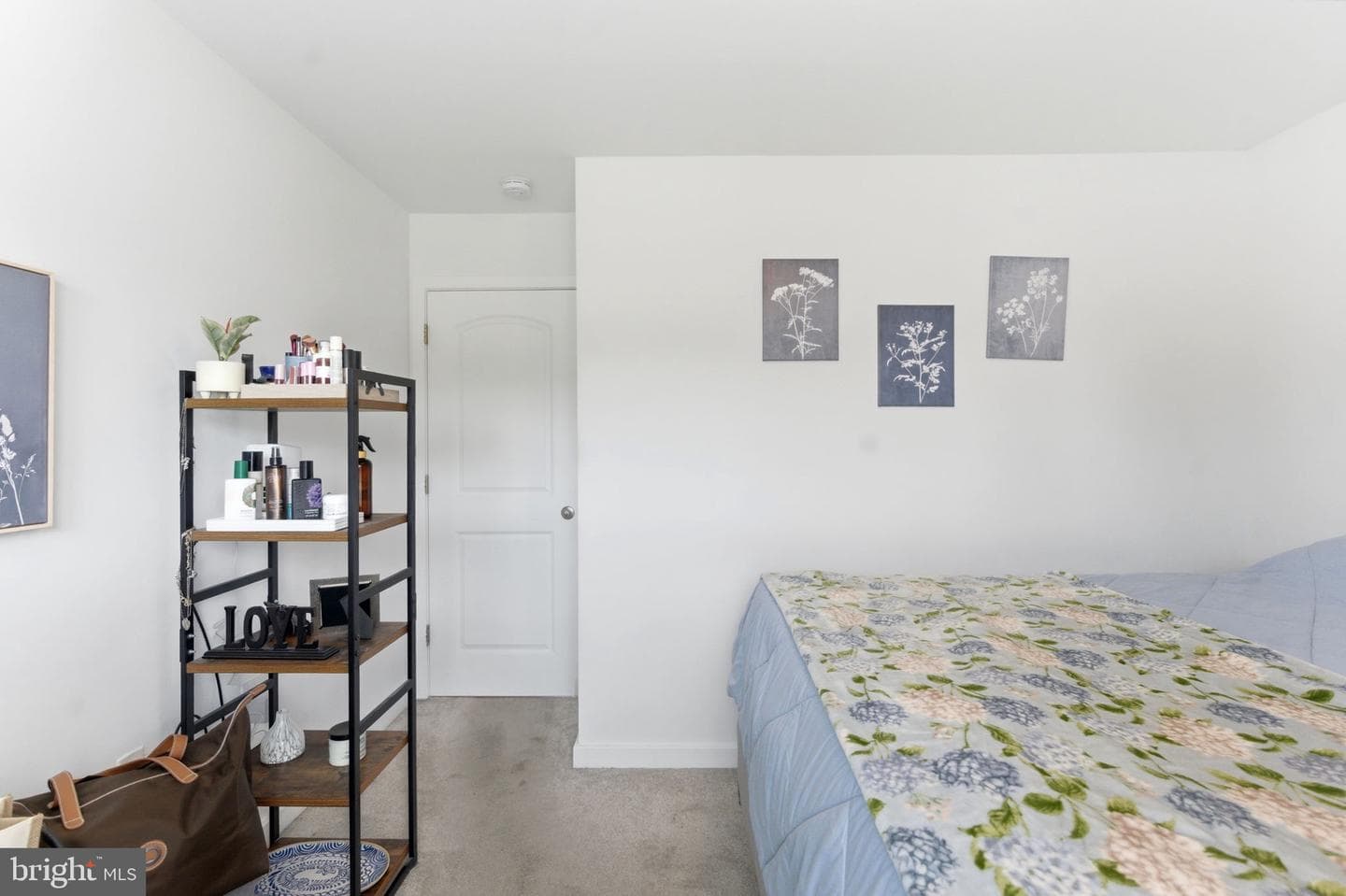 255 Quinella Court photo 22