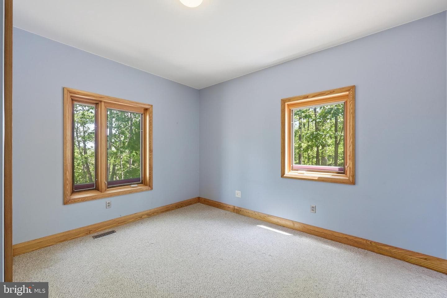 446 Broomgrass Way photo 29
