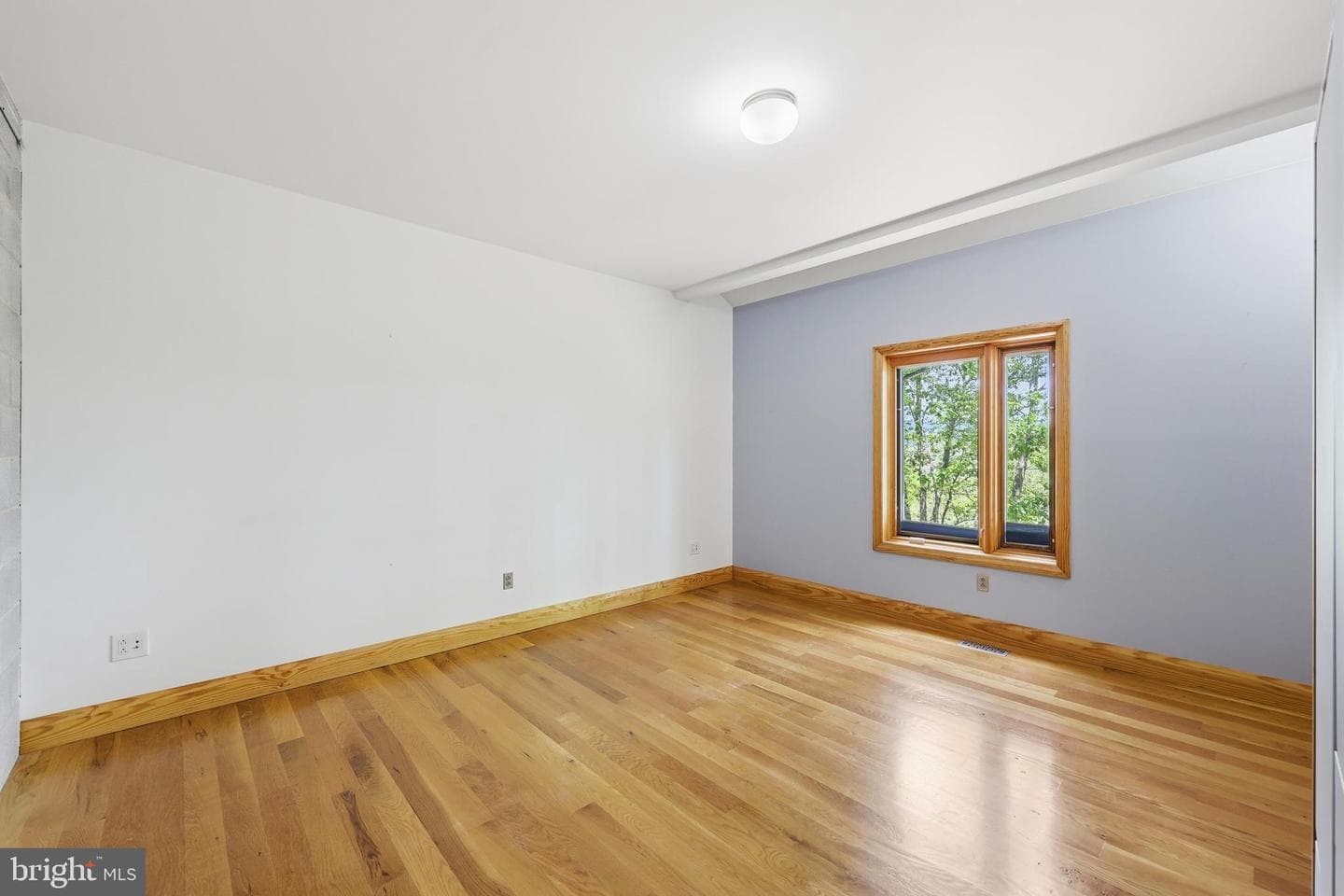 446 Broomgrass Way photo 35