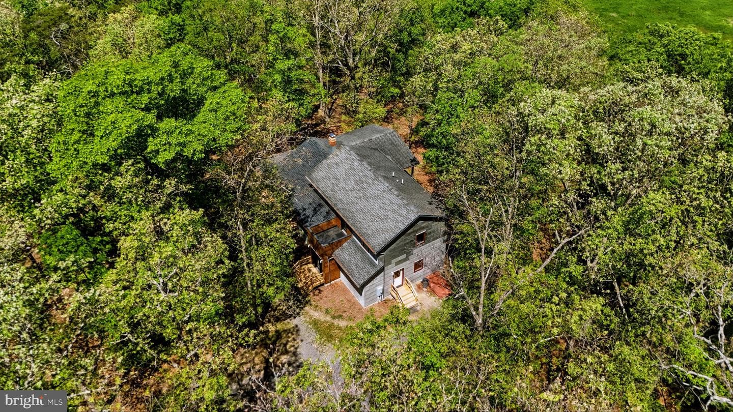 446 Broomgrass Way photo 54