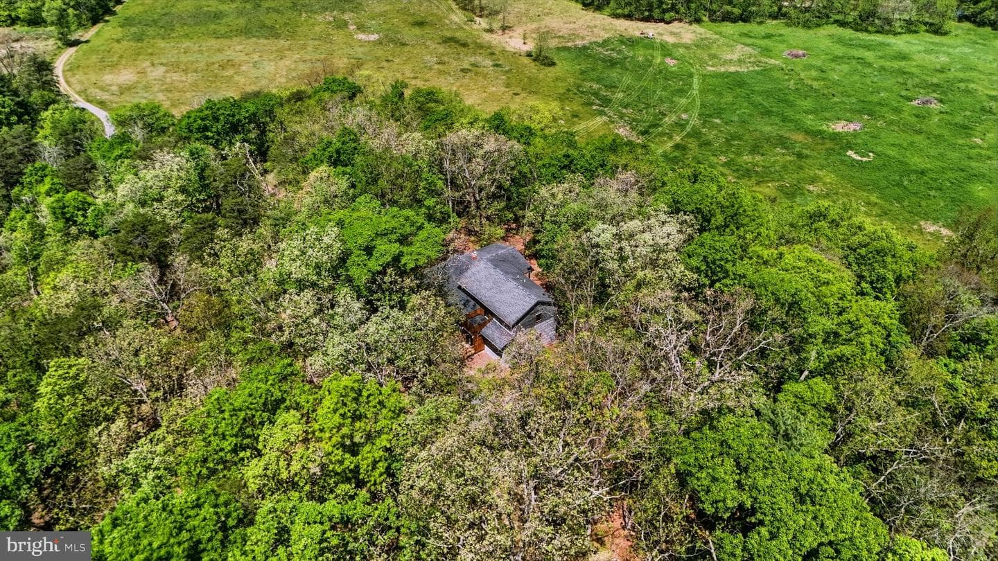 446 Broomgrass Way photo 55
