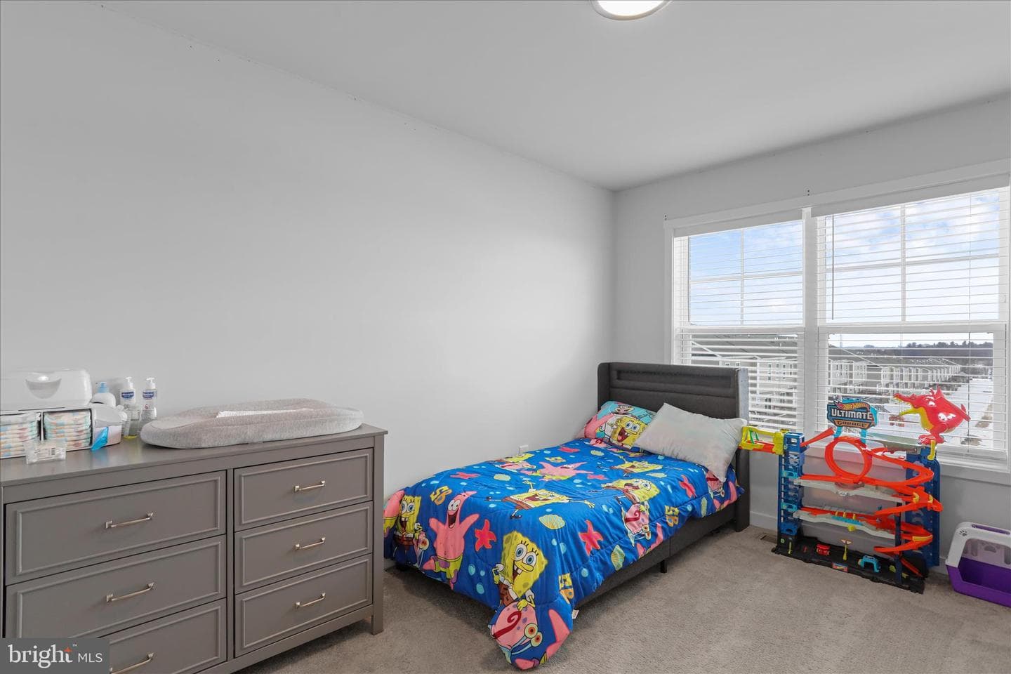 13 Olga Drive photo 18