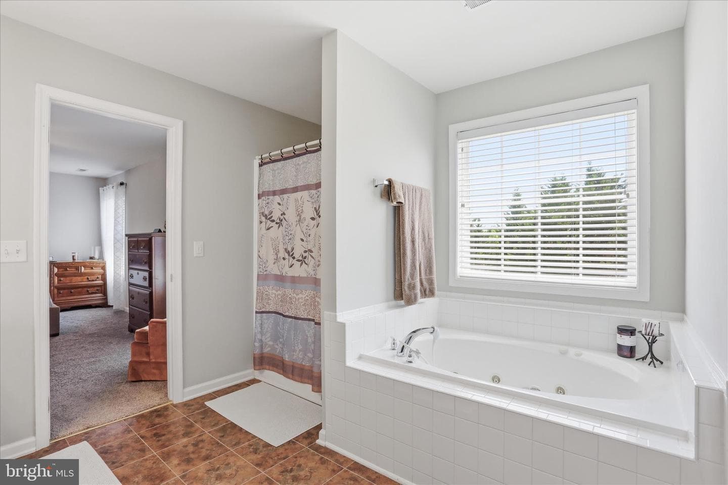 171 Webber Springs Drive photo 22
