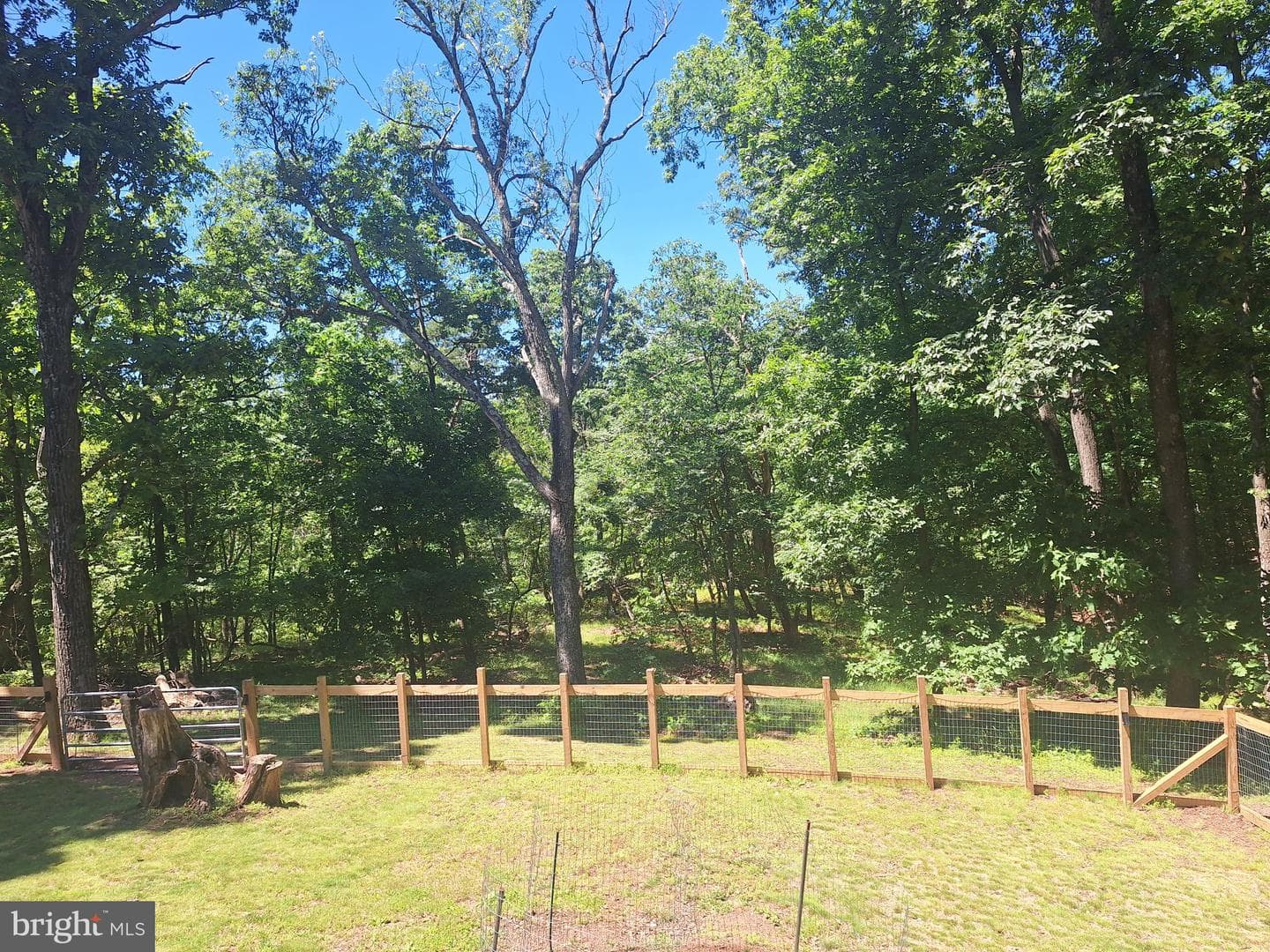 71 Trapper Ridge Lane photo 13