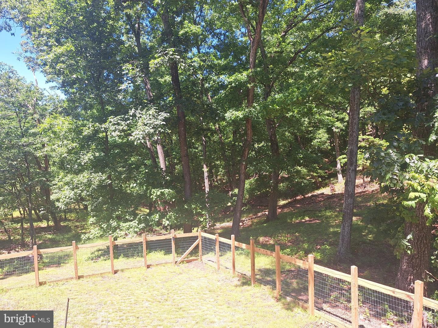 71 Trapper Ridge Lane photo 14