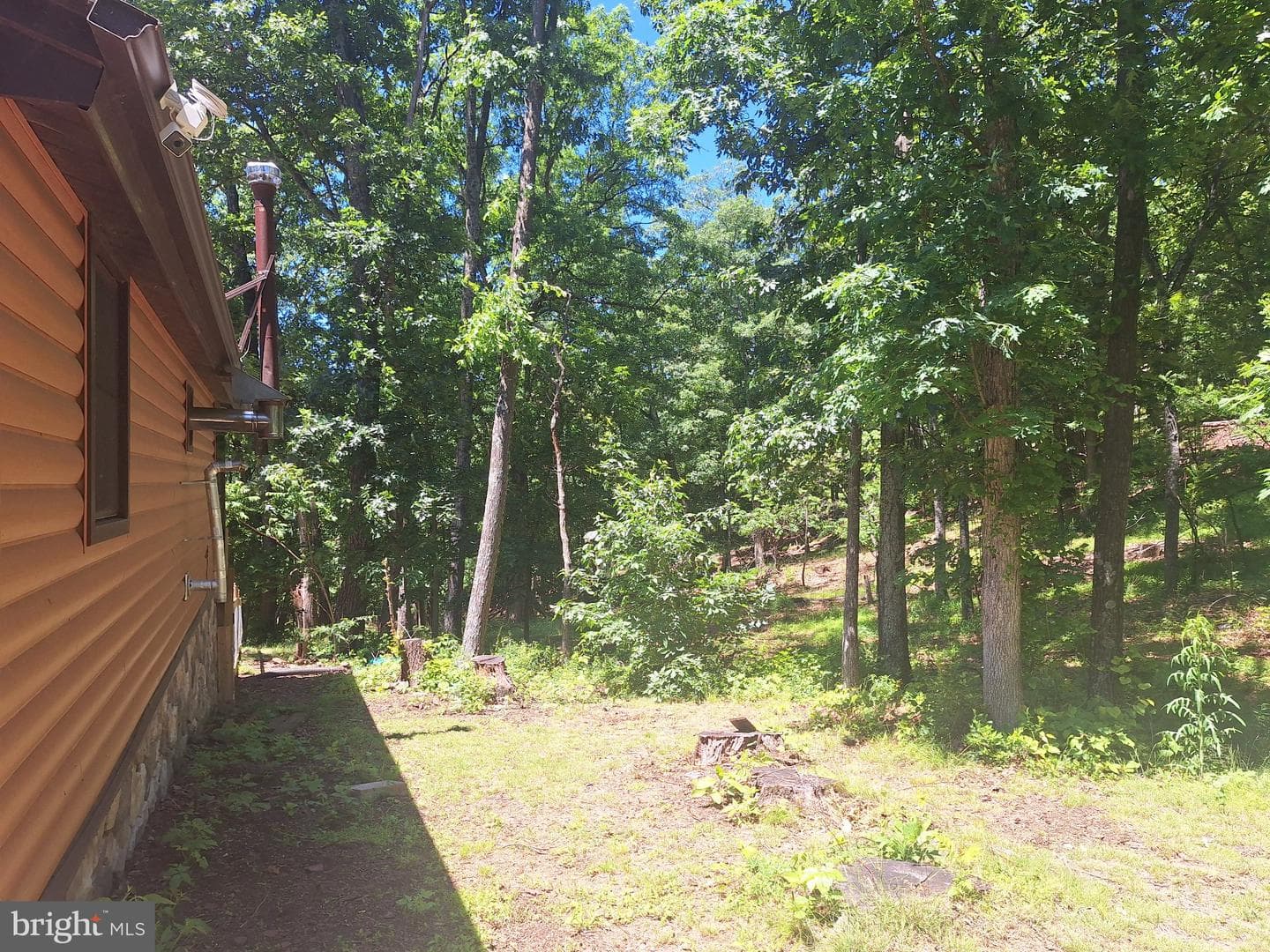 71 Trapper Ridge Lane photo 4