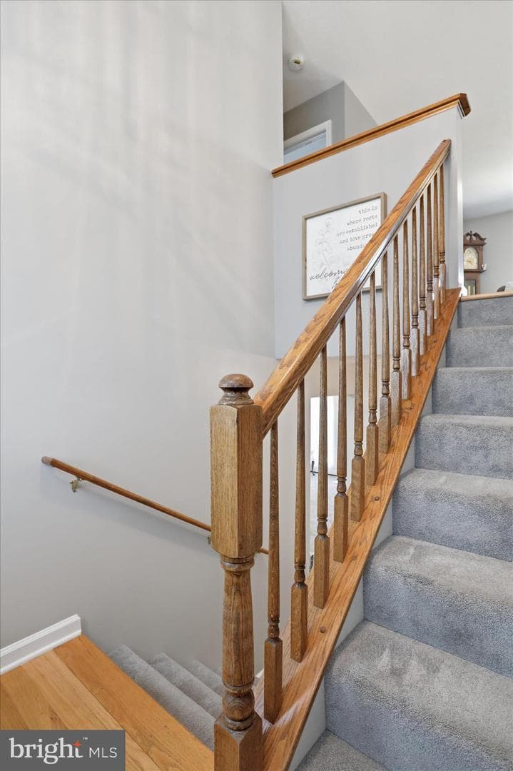 302 Dickenson Drive photo 8